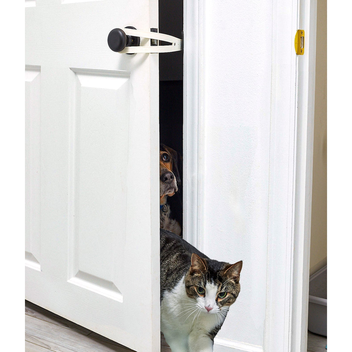 Cat Feeding Door Seam File Anti-collision Can Control The Size Dog Pet Supplies